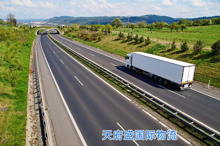 天府盛國際物流16.jpg